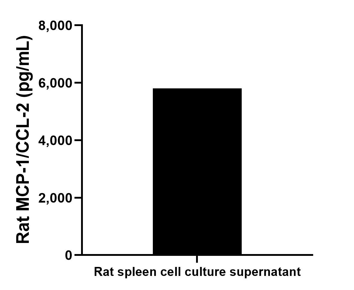 Rat spleen cell cultures (1/2 spleen; 1-2 mm pieces in 50 mL DMEM supplemented with 10% fetal bovine serum, containing 100 ng/mL LPS) were collected after culturing for 3 days in a CO2-enriched (9.5%) incubator. The cell culture supernatant was assayed for rat MCP-1/CCL2 and measured 5,804.62 pg/mL.